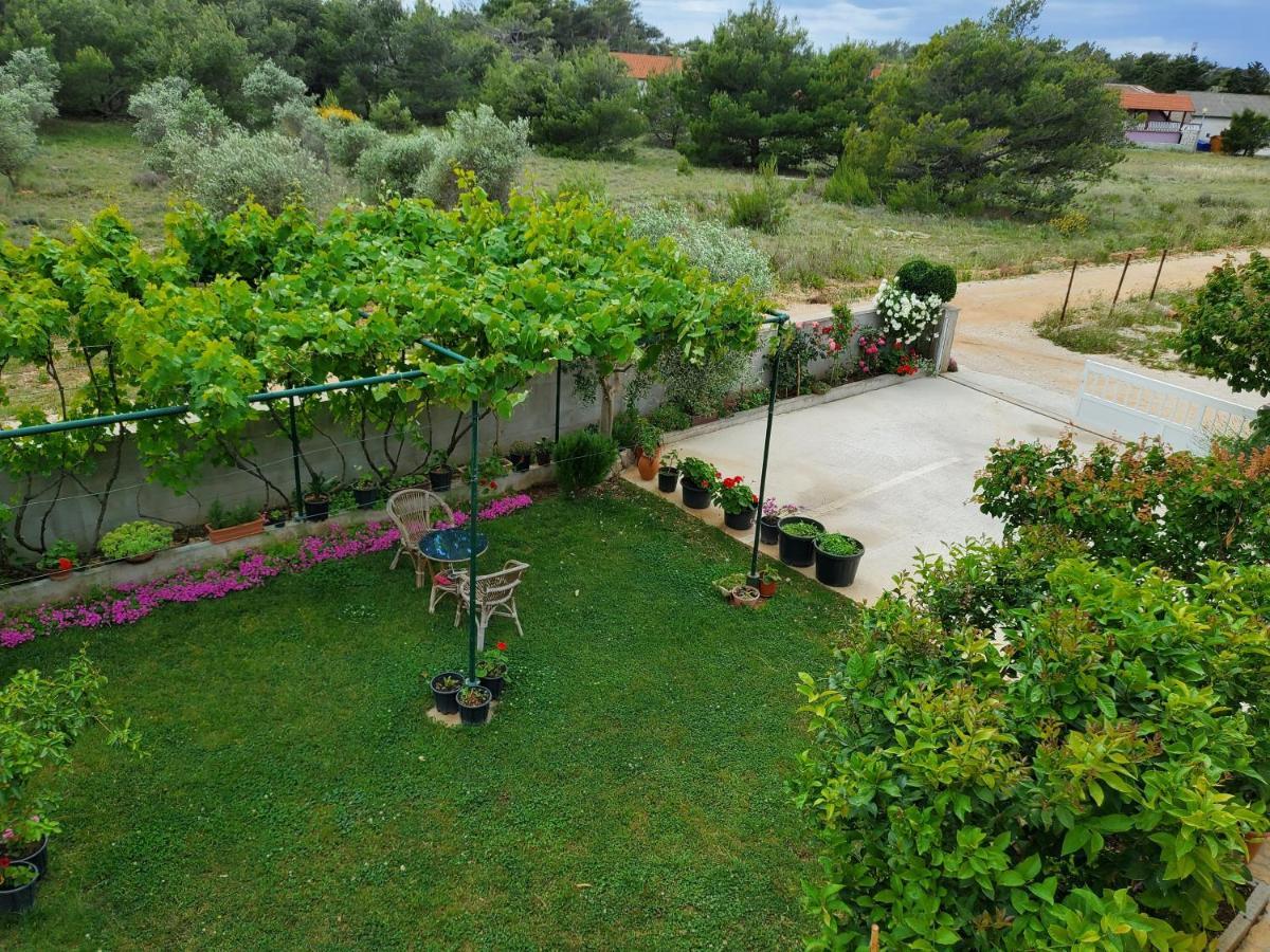 Apartmani Zarko Vir Luaran gambar